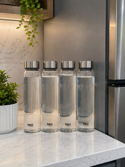 Treo by Milton Premium Glass Water Bottle Set with Stainless Steel Caps (Pack of 4) 10081841